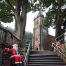 강원도 횡성군 횡성읍 태기로19번길 이미지