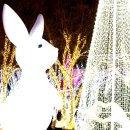 (주)용암온천 관광호텔 이미지