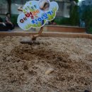 여주곤충박물관 이미지