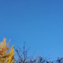 부산광역시 동구 중앙대로 332번길 이미지