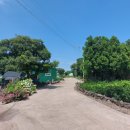 오조리-8 이미지