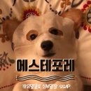 에스테포레 네이버블로그
