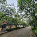 수승대관광지 카라반캠핑장 이미지