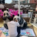 개항동 행정복지센터 이미지