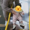 토이조이 | [내돈내산] 팁토이조이 아기 걸음마 신발 구입 후기 및 적응팁 공유