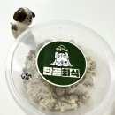 단골가개 이미지