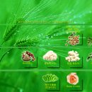 (주)두한 - 천안시 동남구 | (주)두한
