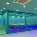 김준호의대단한커피파주 | 파주 대형 키즈카페 플레이월드 파주점 주말 하루종일 놀기 좋은 1300평 실내놀이터 추천 (매점, 식당...
