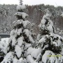 무지개회집 이미지