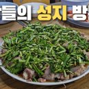 독산로51길 이미지