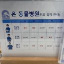 양주 온 동물병원 이미지