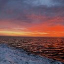 우정매향 이미지