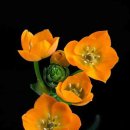 신한행정사 이미지