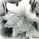 밝음학원 - 원주시 흥양로51번길 11 | 밝음학원