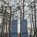 우정행정사 이미지