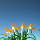 신안국민체육센터 이미지