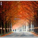 홍등 - 기장군 정관2로 39-14 | 홍등