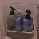 고양이다락방 | [하동 게스트하우스 추천]도시고양이생존연구소 다락방 숙박 내돈내산 후기 (+조식, 픽업)