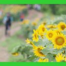 크리미 - 유성구 봉산로 19 | 크리미