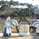 영천한방테마거리 이미지