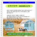 계룡산 마루 민박 티스토리