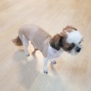 경주 신라 한옥호텔 - 1204 | 경주 신라 한옥호텔