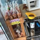 푸른주유소 | 제주 푸른밤의 해안, 여기 완전 찐 맛집이었어