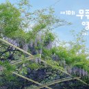 (재)무주산골문화재단 Daum카페