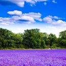 민생 행정사사무소 이미지