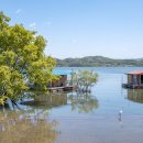 이팝나무길 이미지