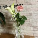 호산나플라워 이미지