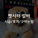 이담펫반려동물호텔위탁센터 | 펫시터 알바 시급 후기 구하는법 총정리