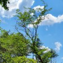 카페나인 이미지