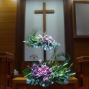 참사랑교회 이미지