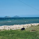 할매분식(언양) 이미지