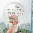 버블리즈 이미지
