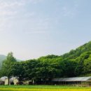 한터농장 이미지