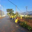 우리가 가꾸는 꽃길 이미지