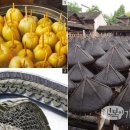 운하농장 이미지