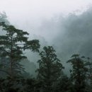 캐나다공인중개사사무소 이미지