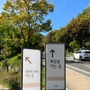 가을 단풍의 시작, 10월의 화담숲 방문기