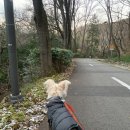 너릿재옛길정상 공중화장실 | 광주러닝코스추천 / 너릿재옛길 훈련및 러닝코스로 제격