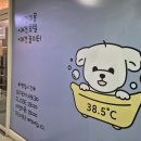 38점5도씨 이미지