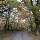 판상농장 이미지