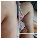 방축공원 이미지