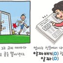 [112] '알토란'과 '알짜' 이미지