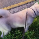 백두동물병원 이미지