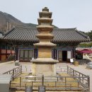 경보사 이미지