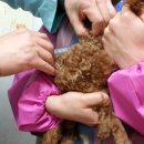 지산동물병원 이미지