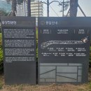 송상현공 동상 | 부산 송상현광장 연등축제 5월한정 야경투어